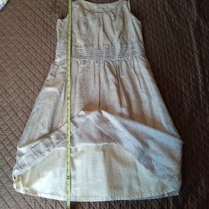 Ann Taylor Loft Spring Dress